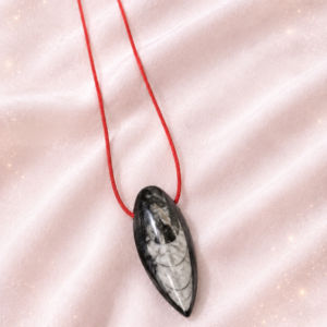 Orthoceras Fossil Pendant (Kuber Stone) – Wisdom, Growth & Abundance